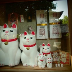 All the different sizes of the Lucky Cat