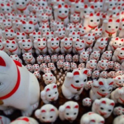 The Lucky Cat Army