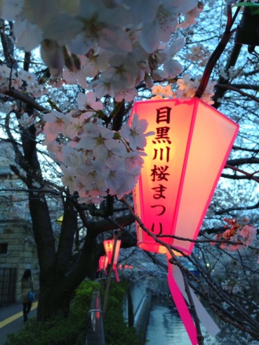 Meguro River Sakura Festival