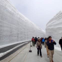 13m high Snow Wall
